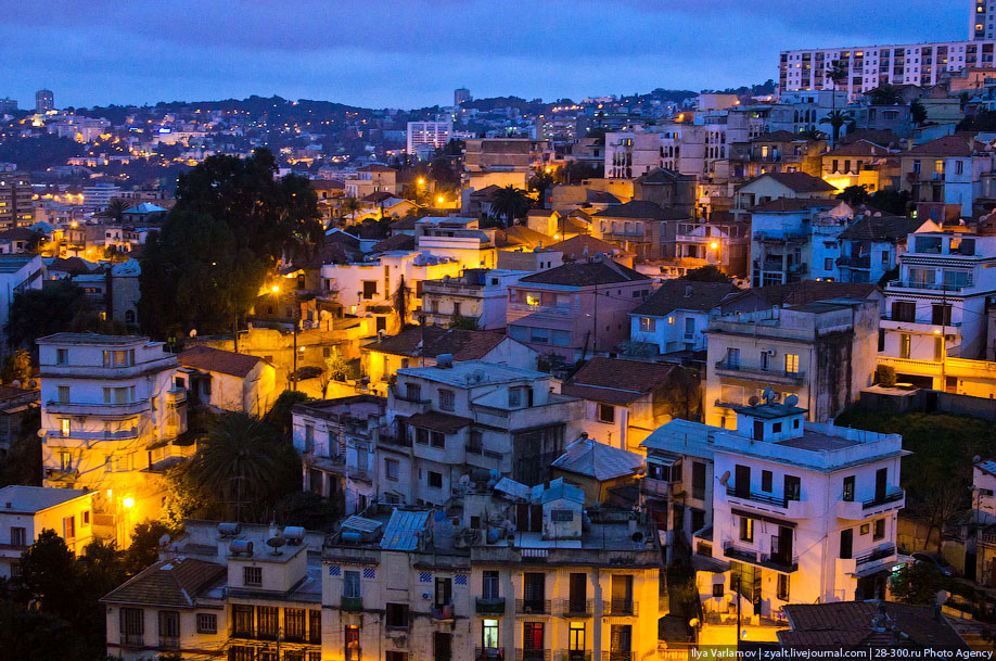 Algiers at night